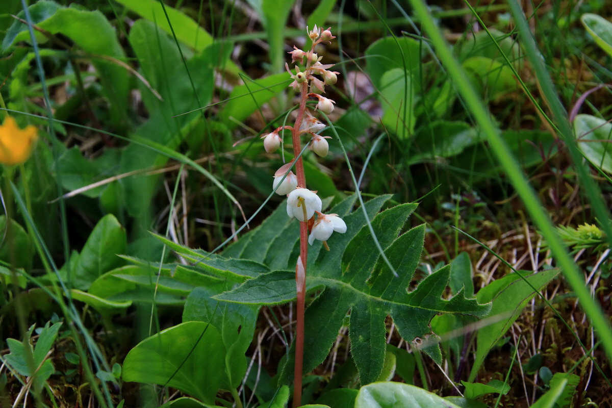 2015_06_19_004867p_Bildgr��e �ndern