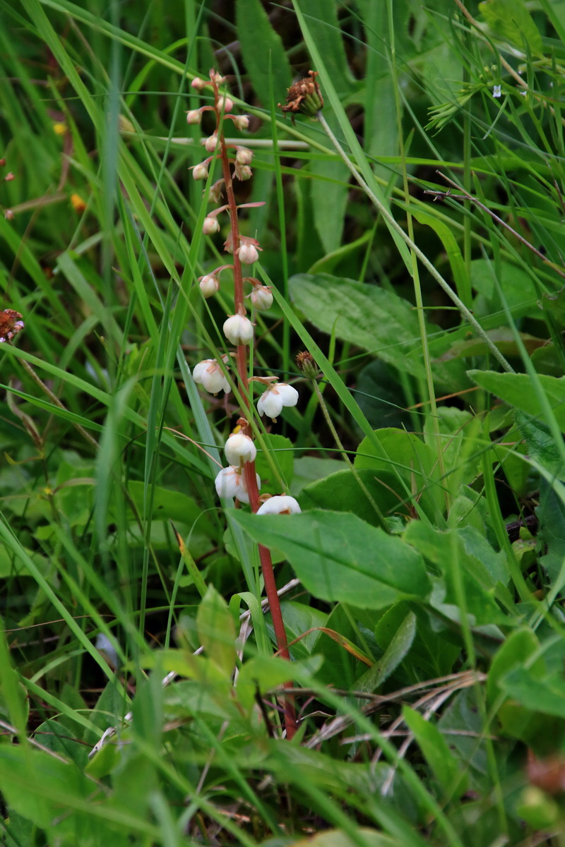 2015_06_19_004869p_Bildgr��e �ndern