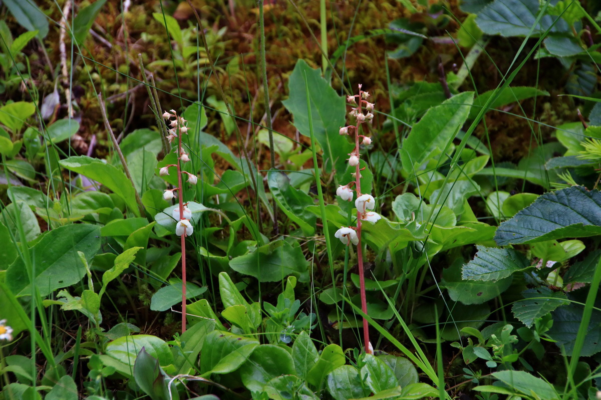 2015_06_19_004872p_Bildgr��e �ndern