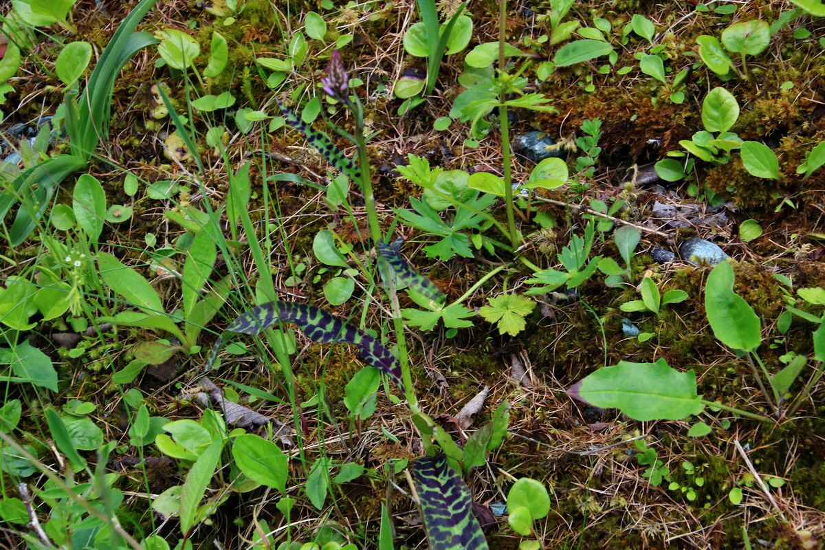 2015_06_19_004874p_Bildgr��e �ndern