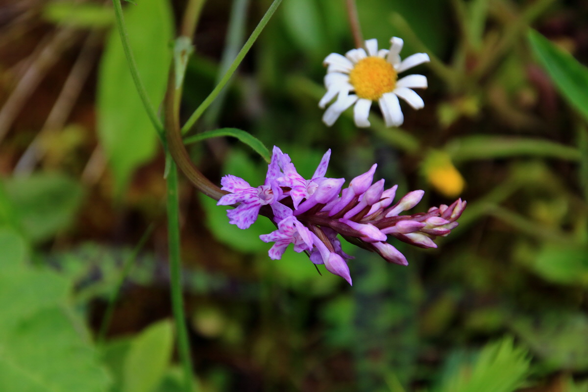 2015_06_19_004876p_Bildgr��e �ndern