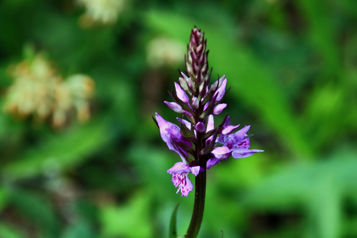 2015_06_19_004878p_Bildgr��e �ndern