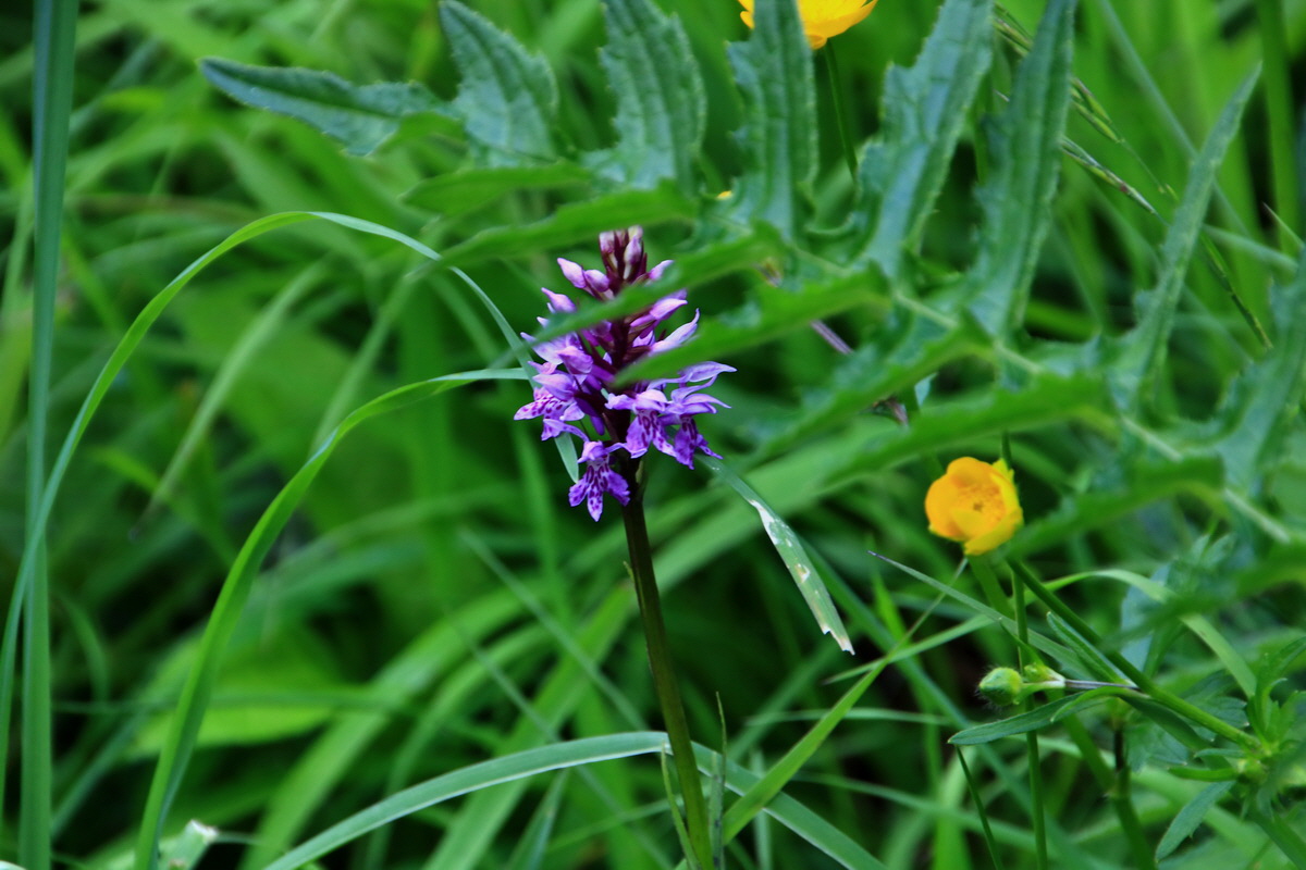 2015_06_19_004887p_Bildgr��e �ndern