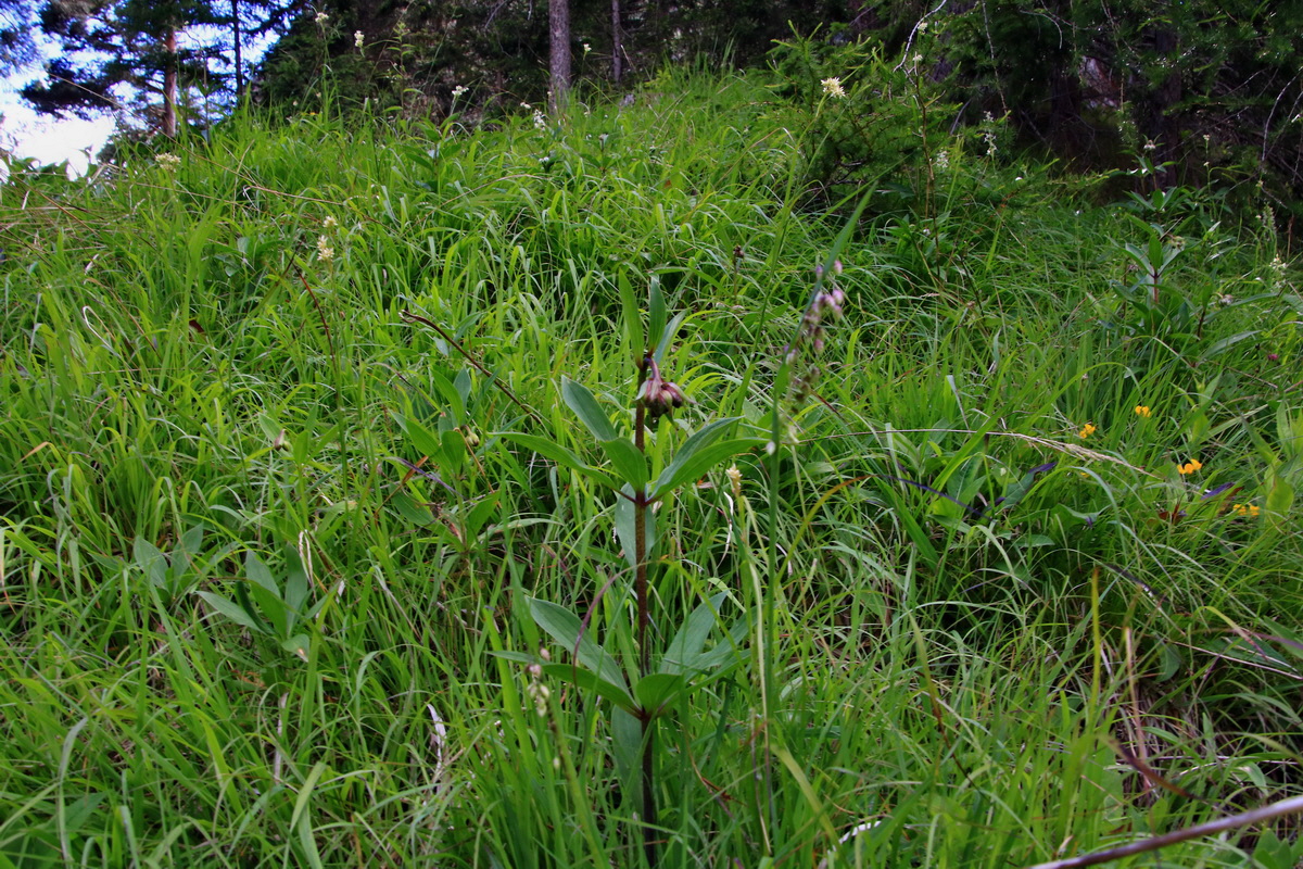 2015_06_19_004890p_Bildgr��e �ndern