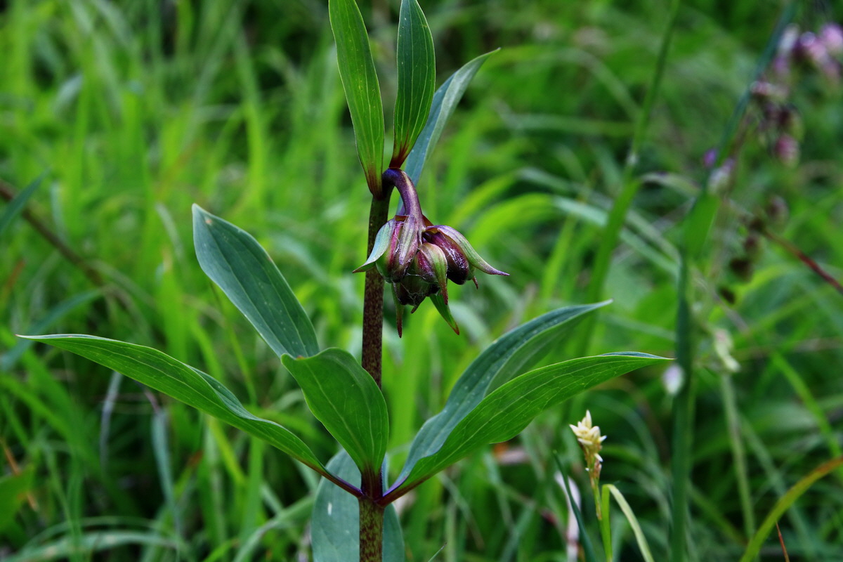 2015_06_19_004891p_Bildgr��e �ndern