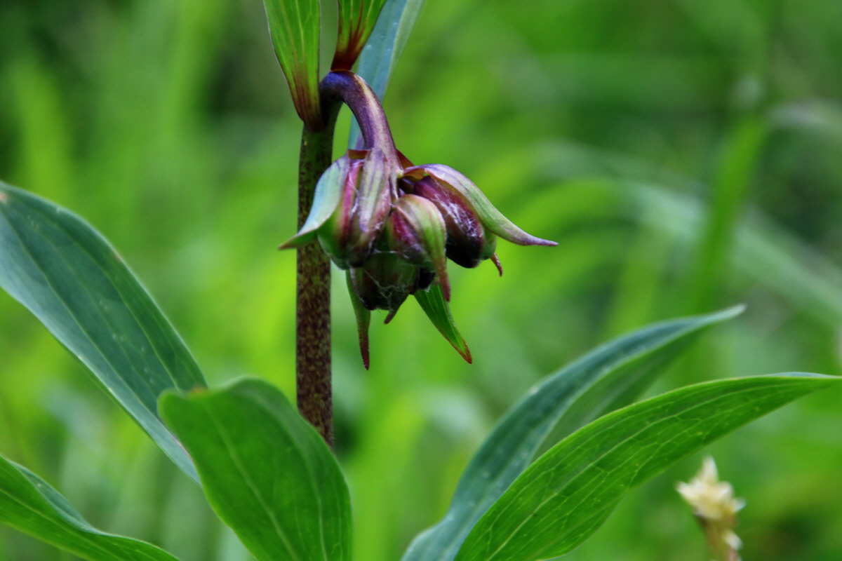 2015_06_19_004894p_Bildgr��e �ndern