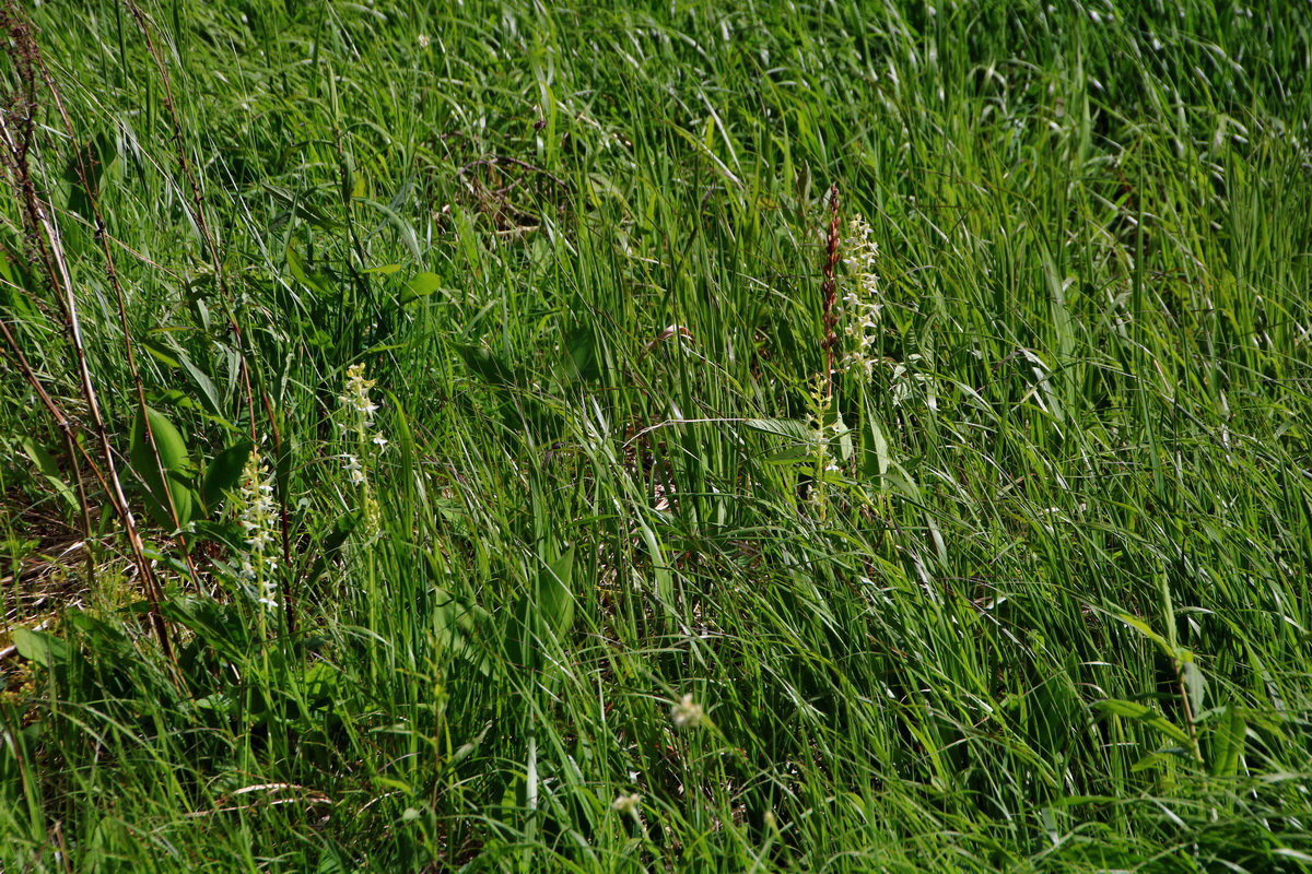 2015_06_19_004895p_Bildgr��e �ndern