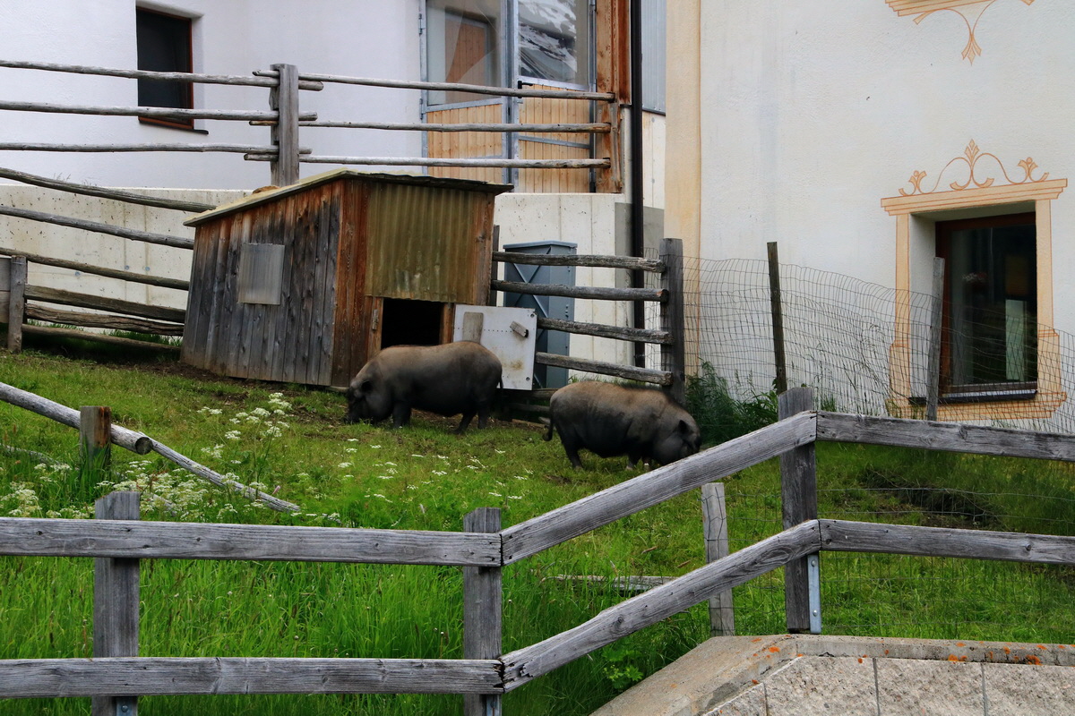 2015_06_19_004557p_Bildgr��e �ndern