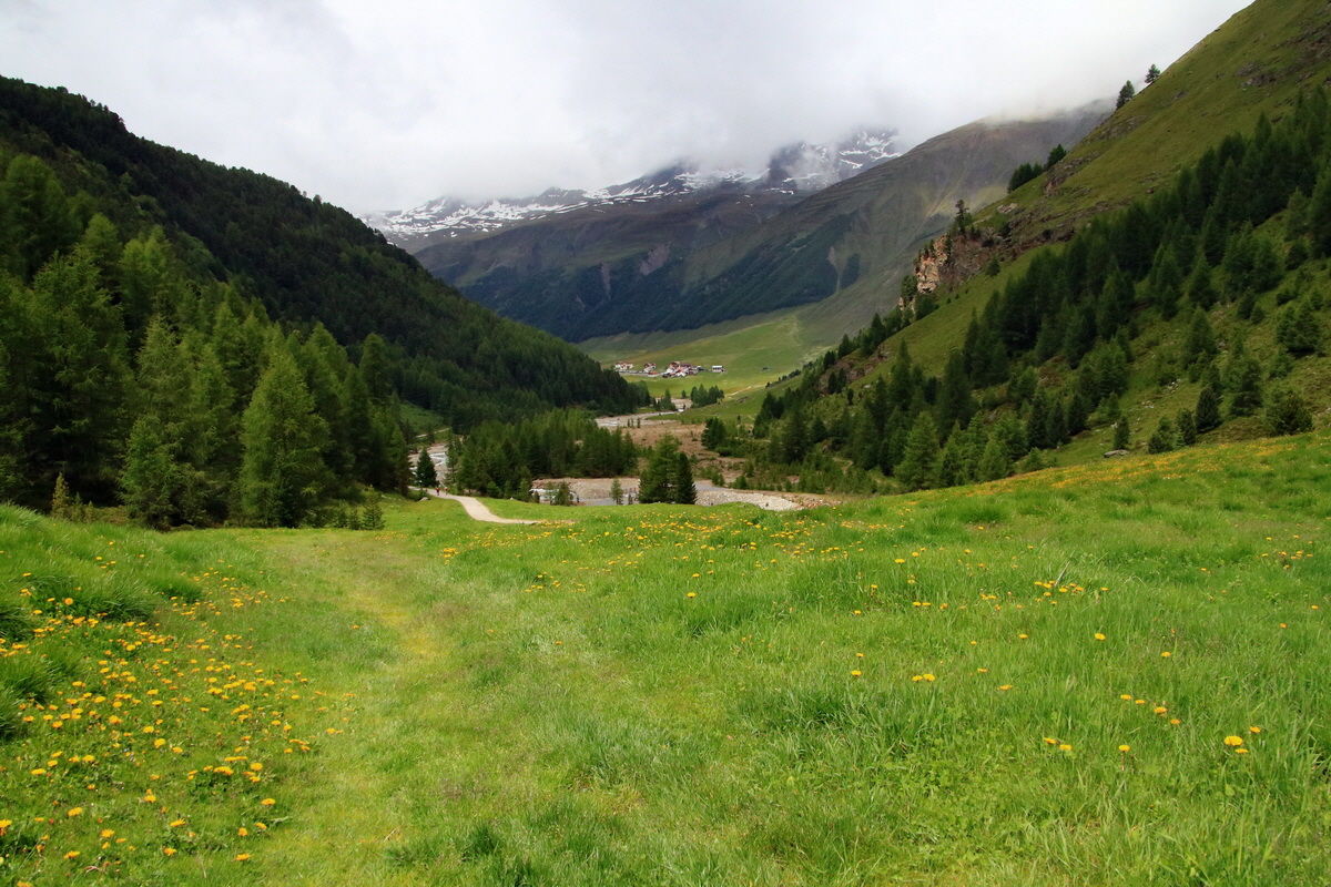 2015_06_19_004671p_Bildgr��e �ndern