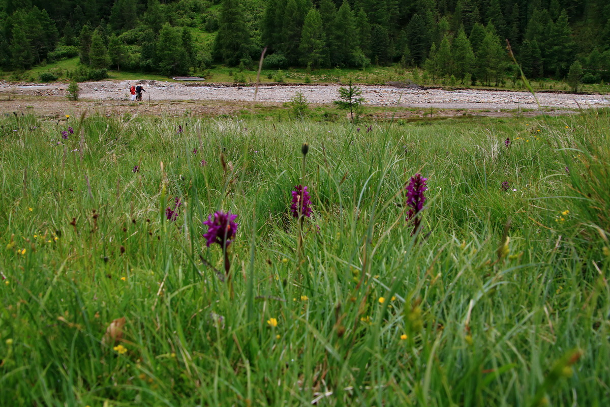 2015_06_19_004705p_Bildgr��e �ndern