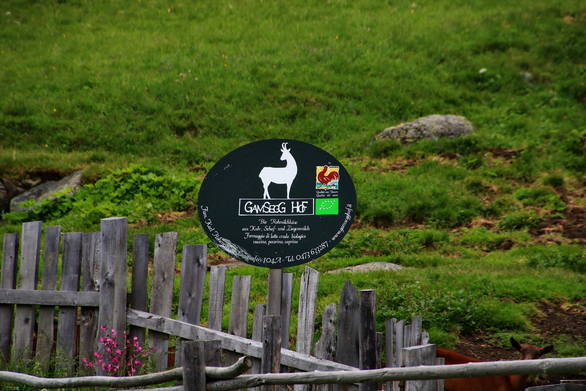 2015_06_19_004722p_Bildgr��e �ndern