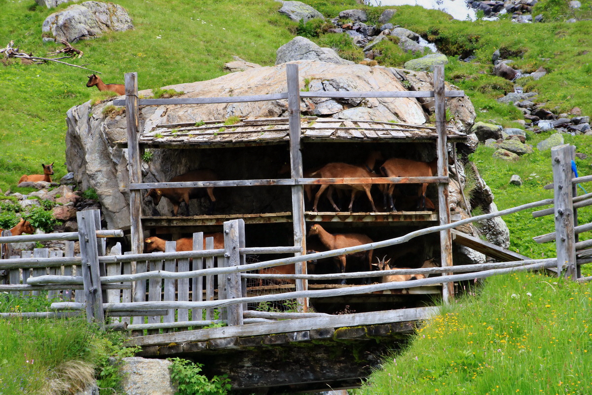 2015_06_19_004727p_Bildgr��e �ndern