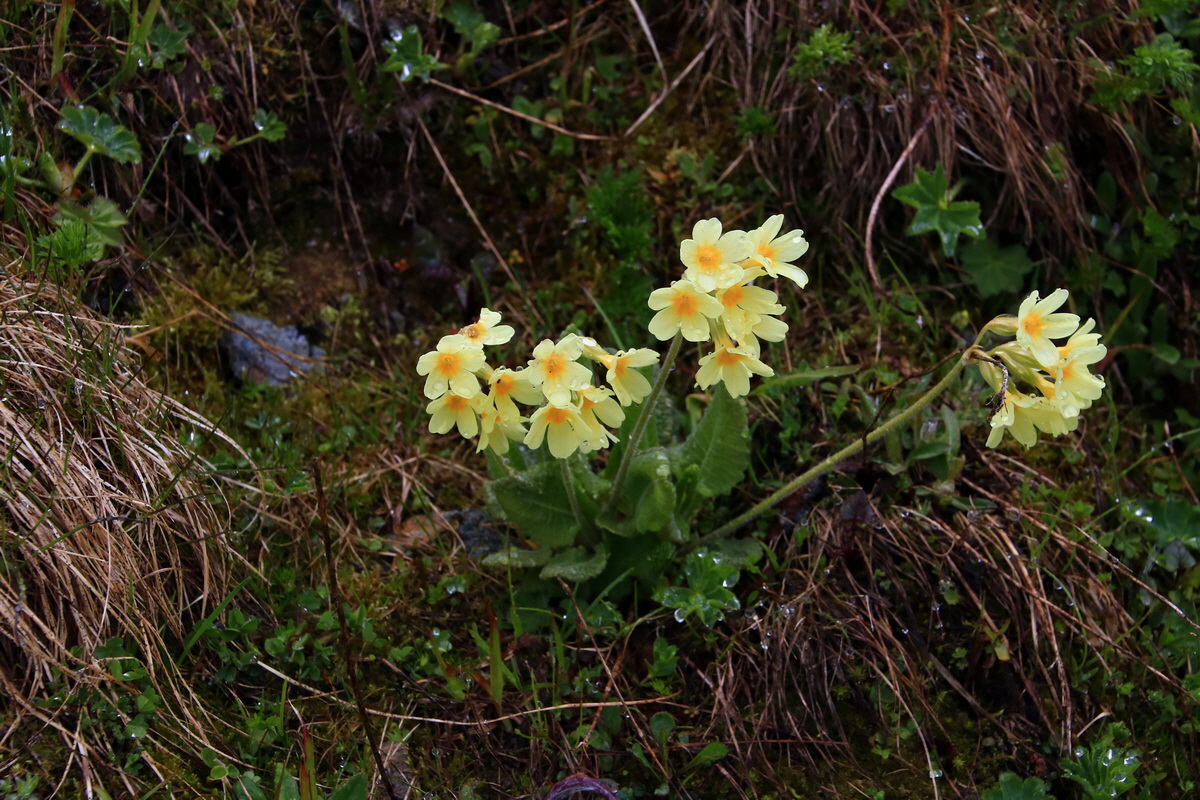 2015_06_20_004907p_Bildgr��e �ndern