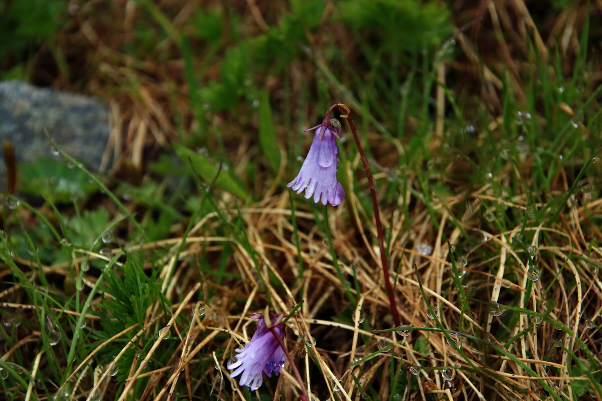 2015_06_20_004912p_Bildgr��e �ndern