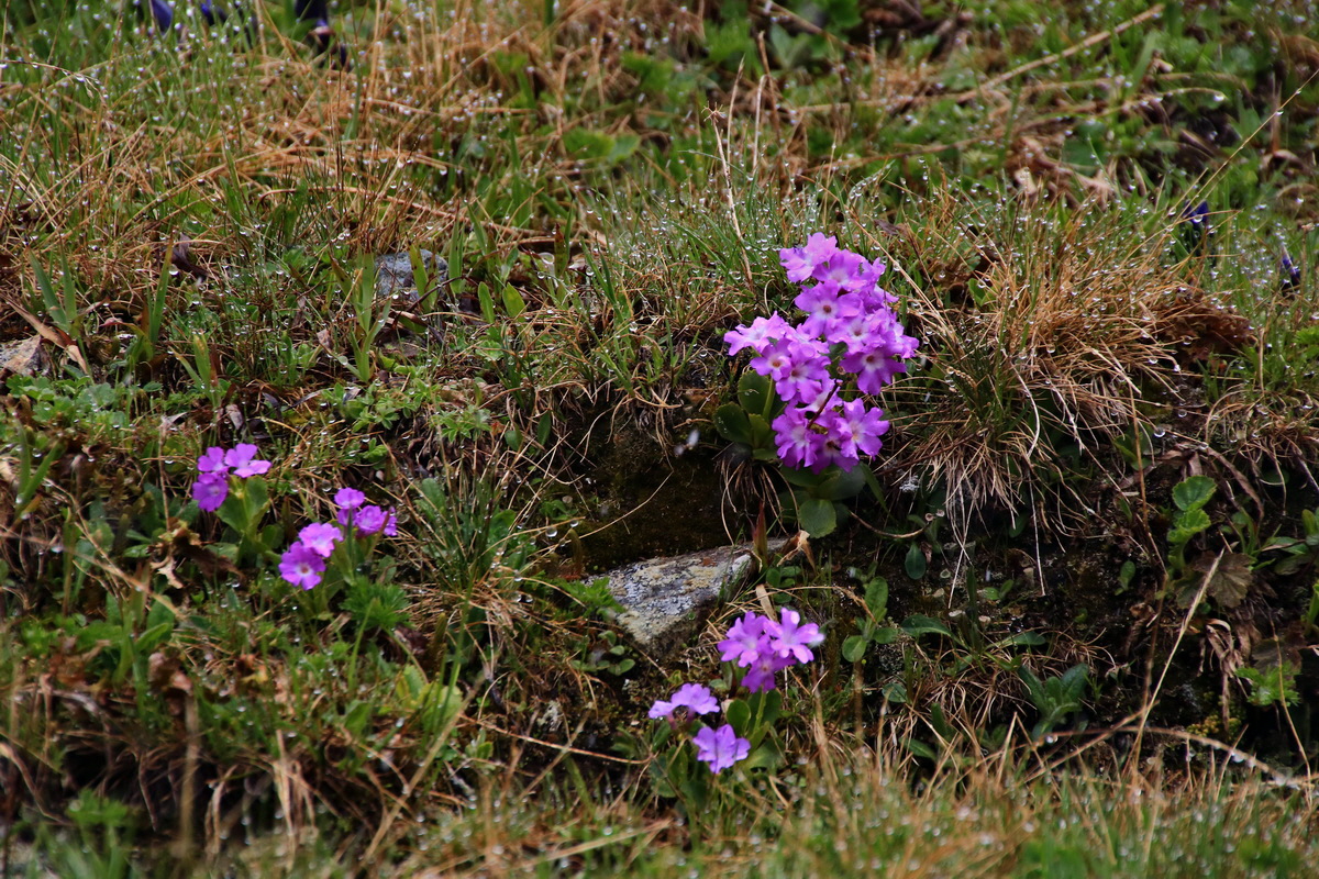 2015_06_20_004918p_Bildgr��e �ndern