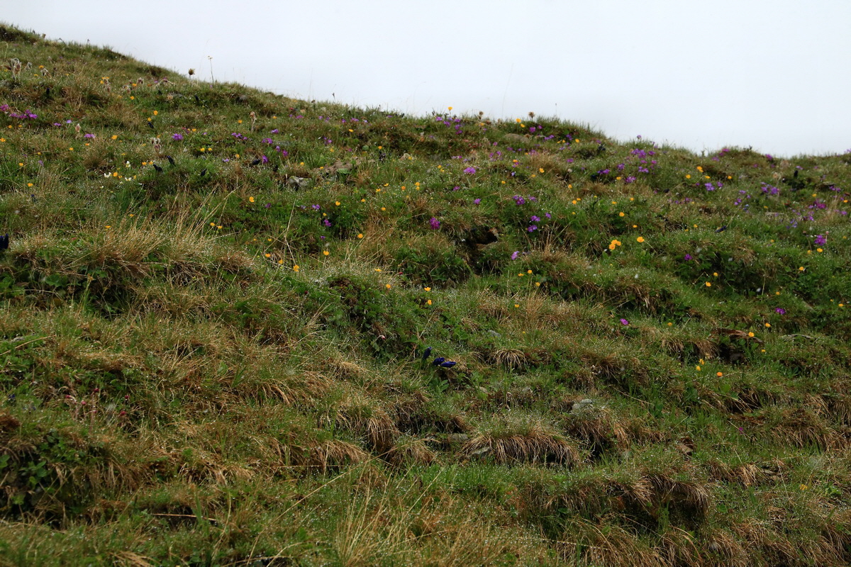 2015_06_20_004920p_Bildgr��e �ndern