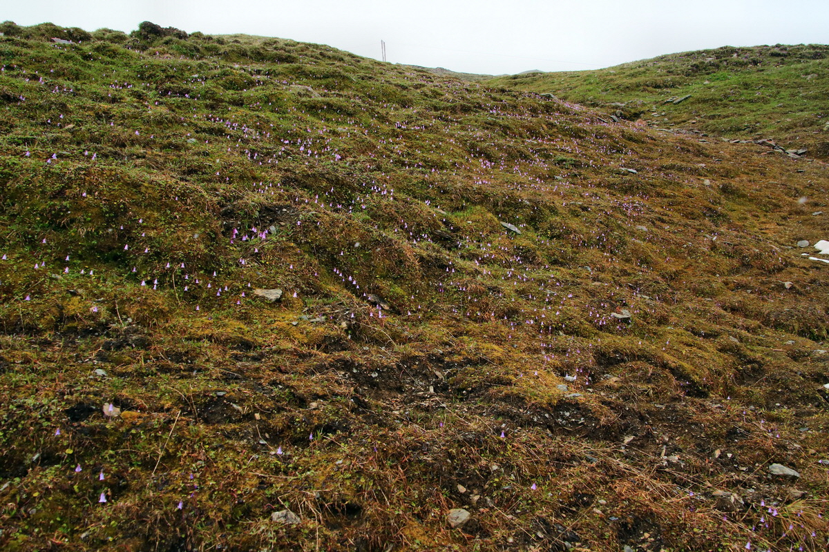 2015_06_20_004925p_Bildgr��e �ndern