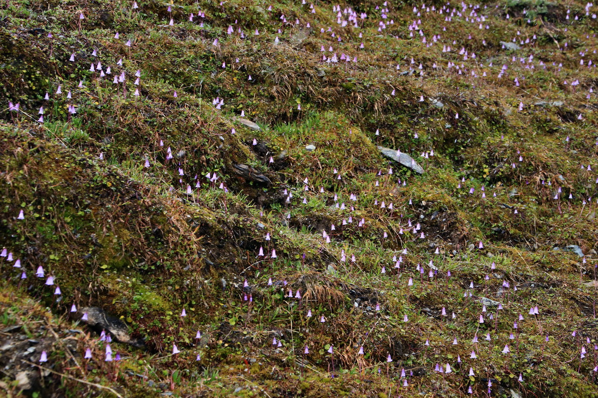 2015_06_20_004926p_Bildgr��e �ndern