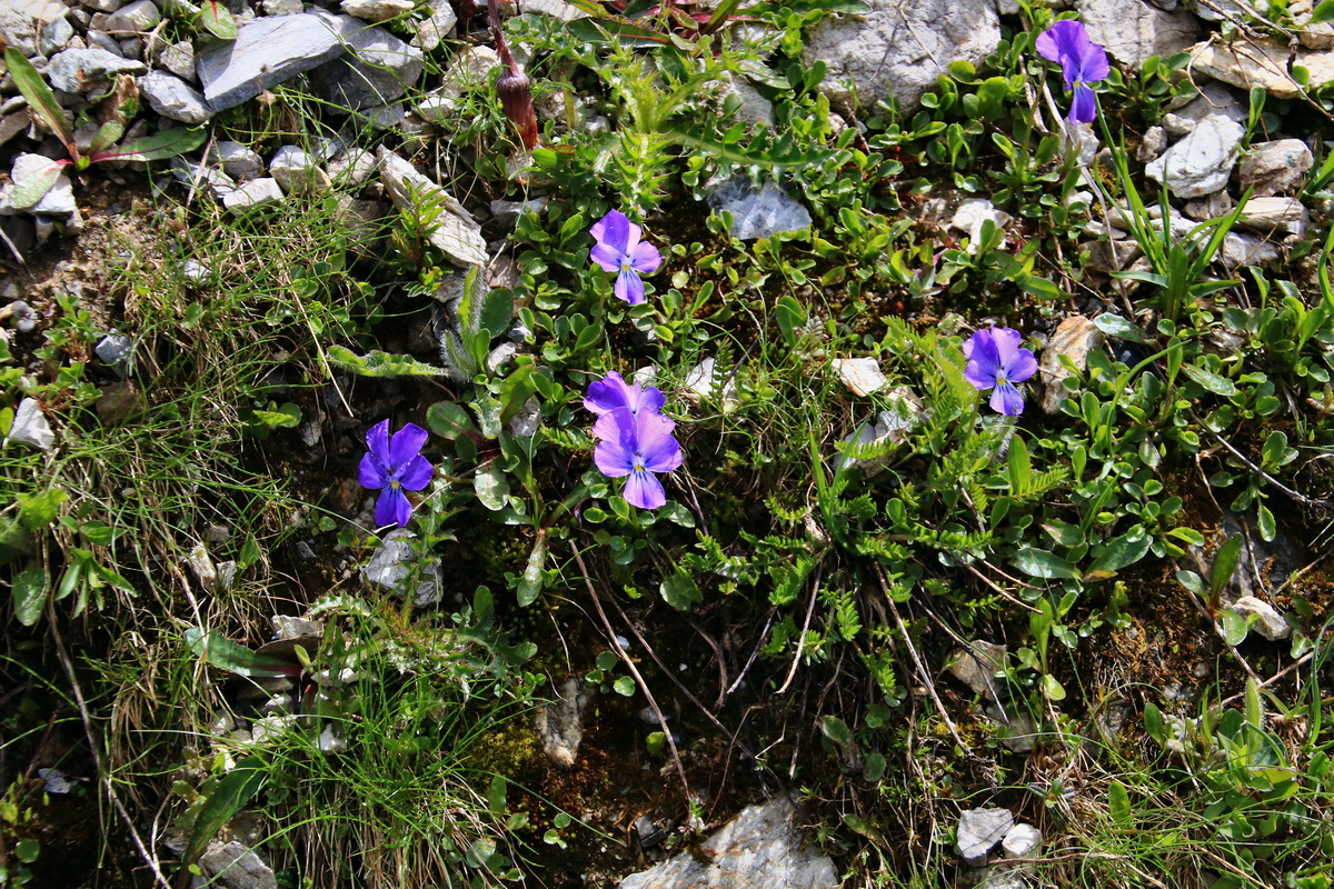 2015_06_20_004938p_Bildgr��e �ndern