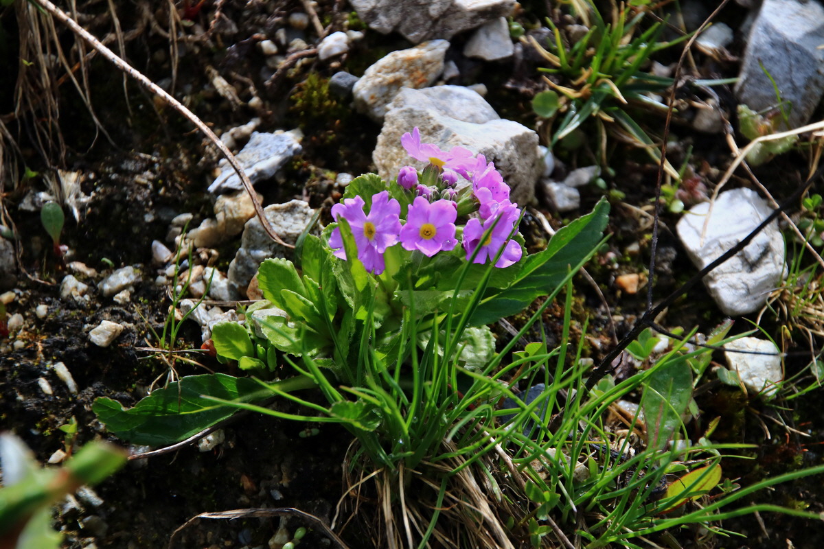 2015_06_20_004940p_Bildgr��e �ndern