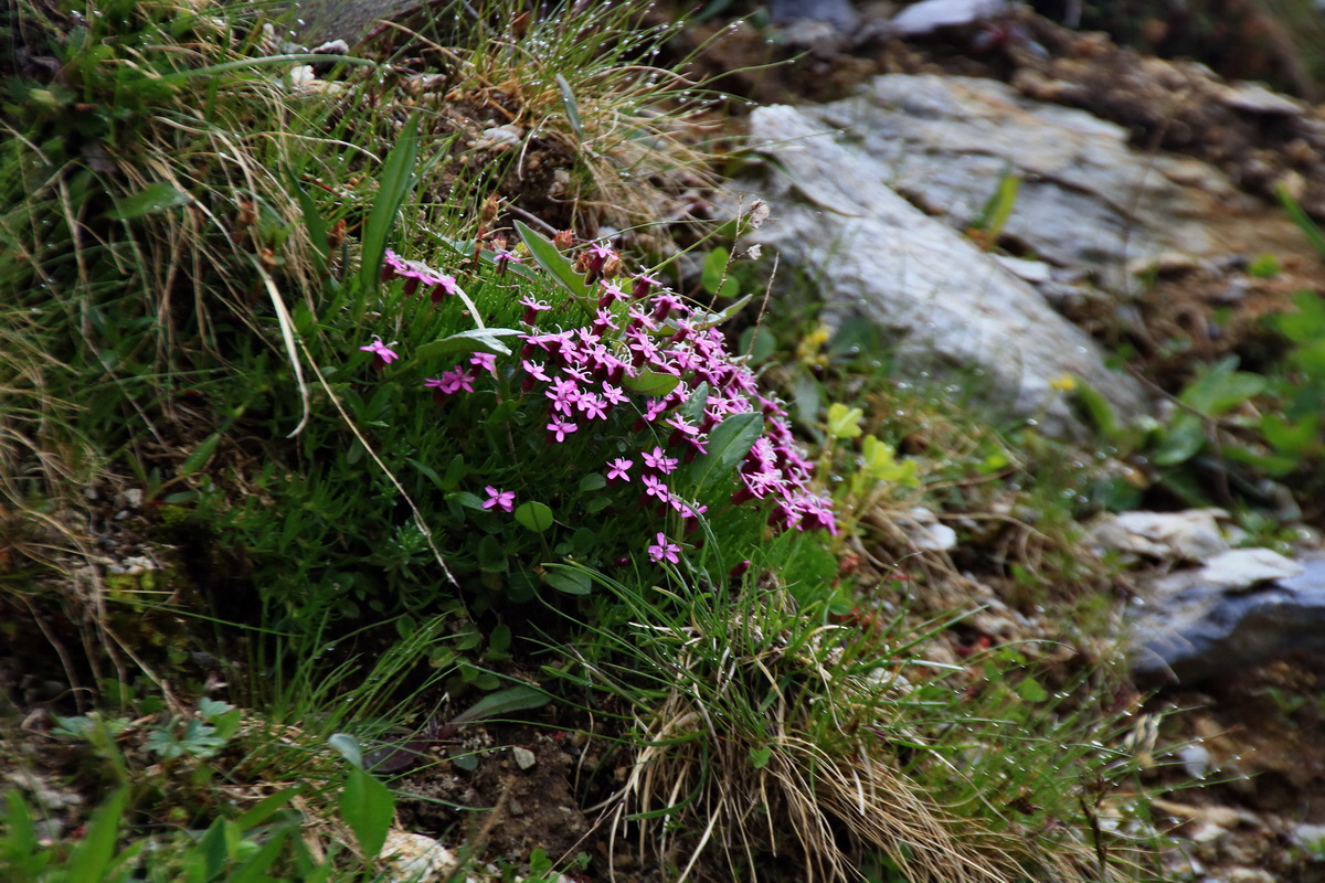 2015_06_20_004951p_Bildgr��e �ndern