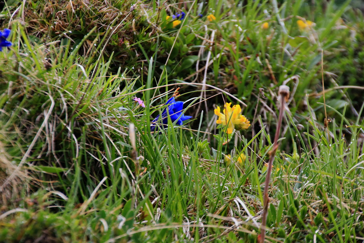 2015_06_20_004957p_Bildgr��e �ndern