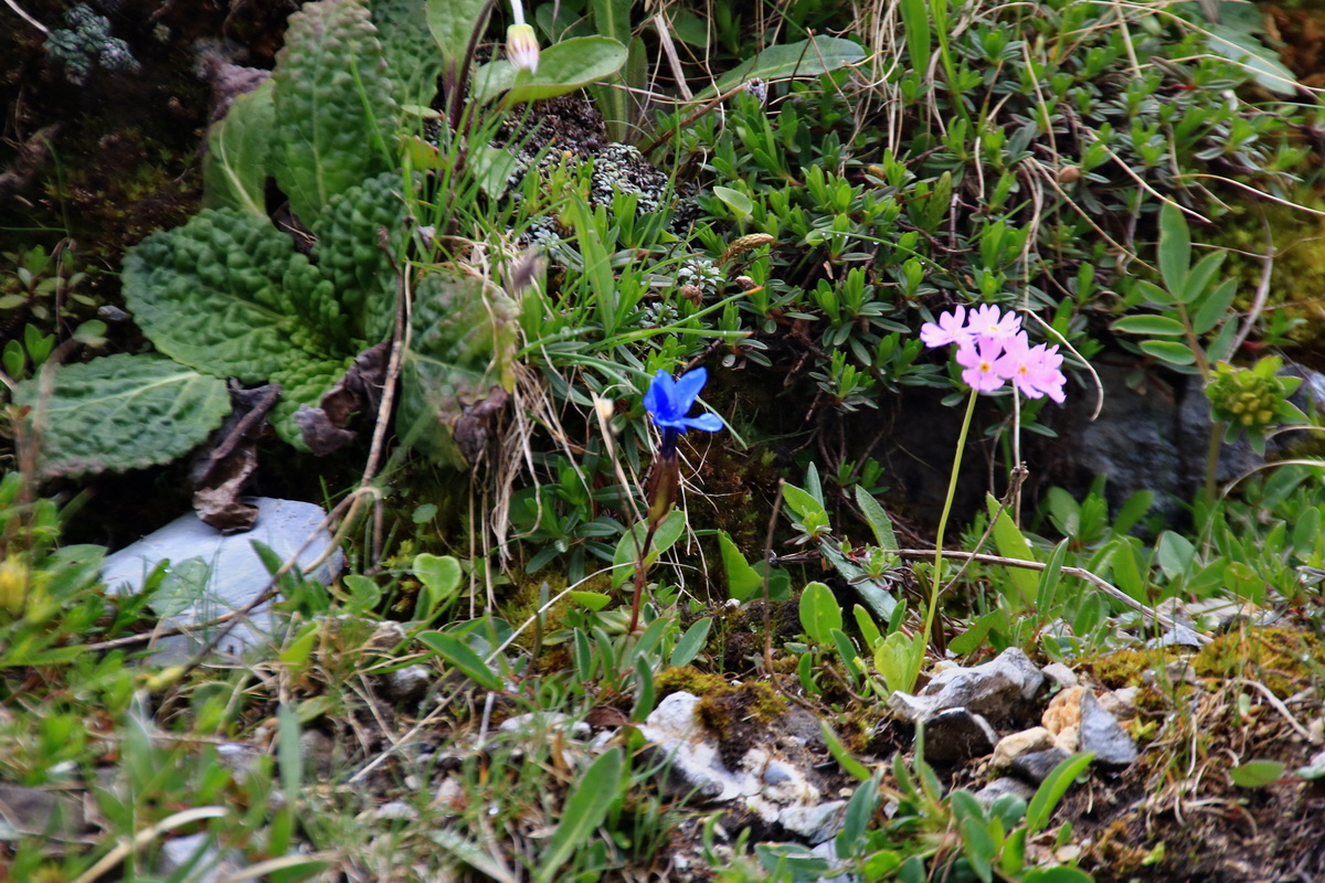 2015_06_20_004960p_Bildgr��e �ndern