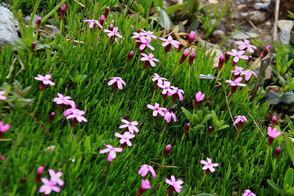 2015_06_20_004962p_Bildgr��e �ndern