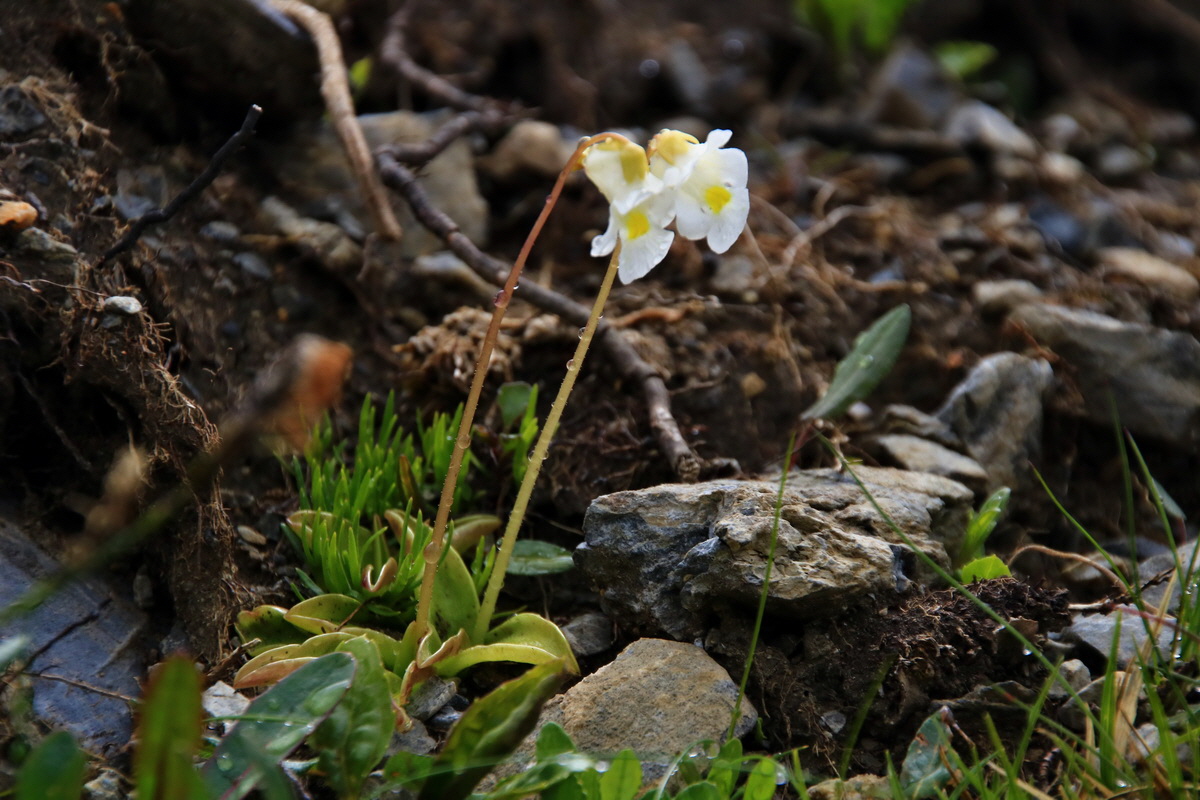 2015_06_20_004965p_Bildgr��e �ndern