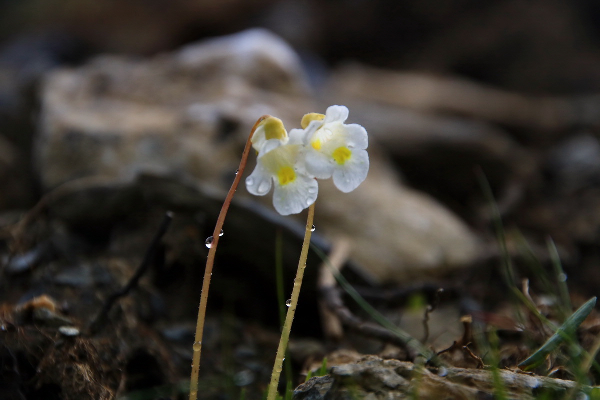 2015_06_20_004973p_Bildgr��e �ndern