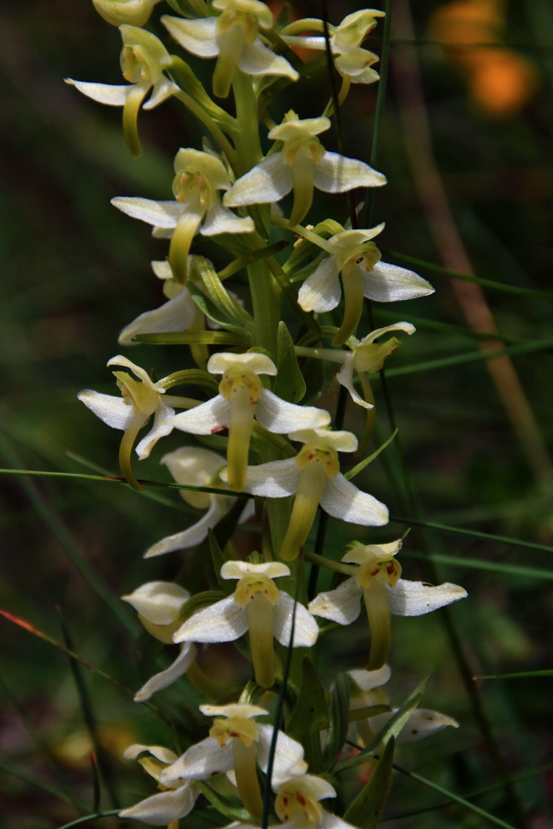 2015_06_20_005026p_Bildgr��e �ndern