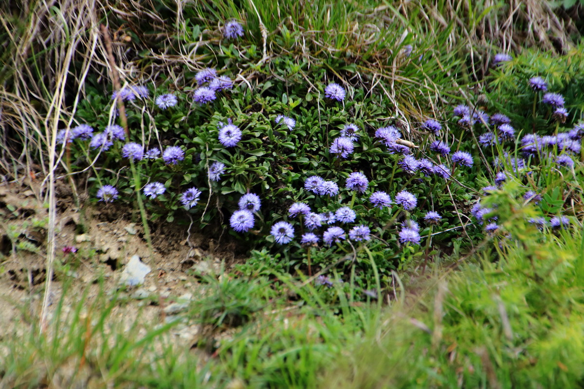 2015_06_20_005033p_Bildgr��e �ndern