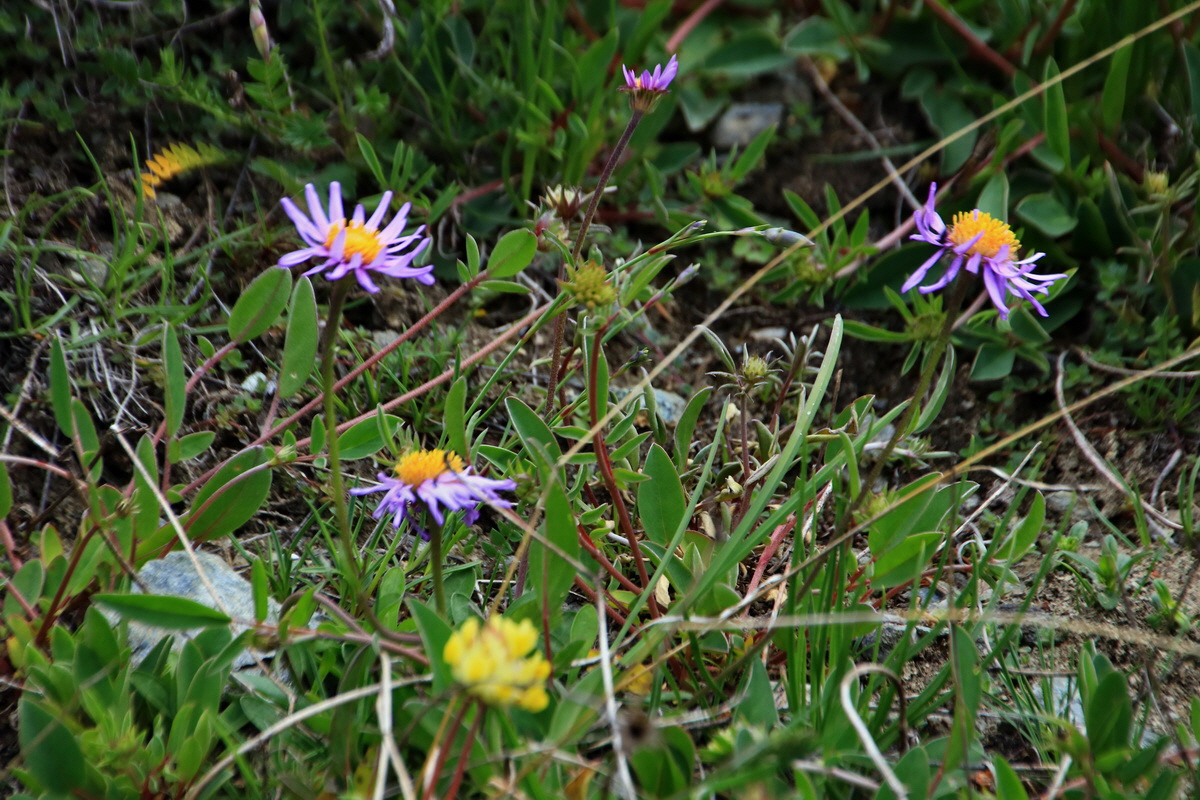 2015_06_20_005036p_Bildgr��e �ndern