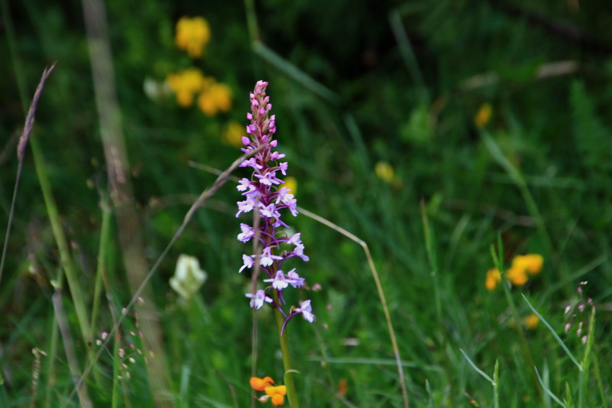 2015_06_20_005040p_Bildgr��e �ndern