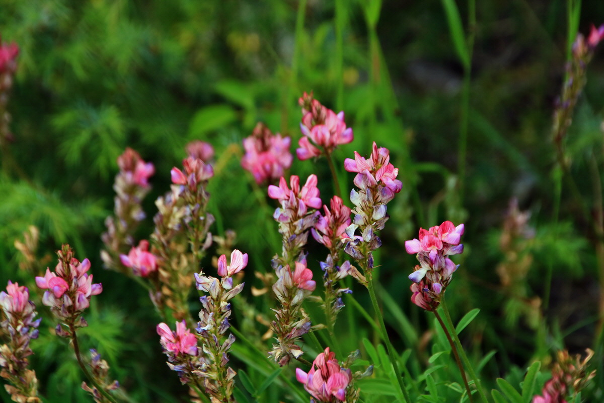 2015_06_20_005041p_Bildgr��e �ndern