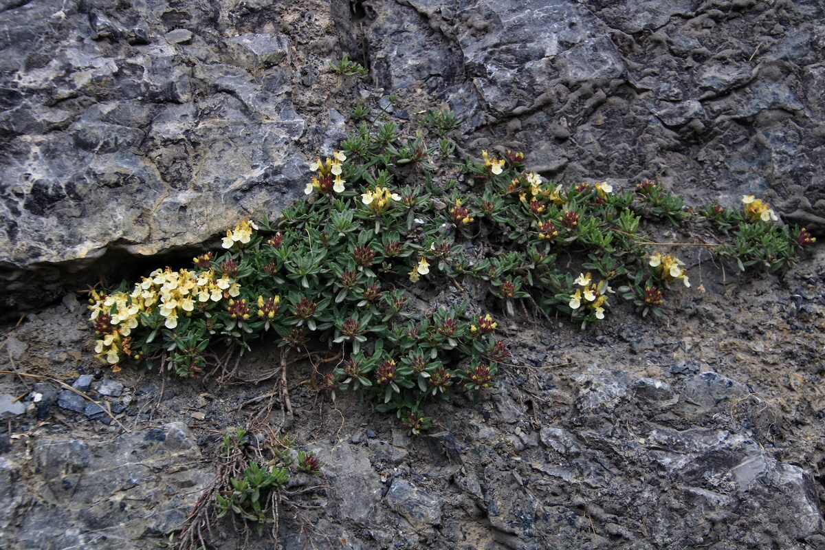 2015_06_20_005154p_Bildgr��e �ndern