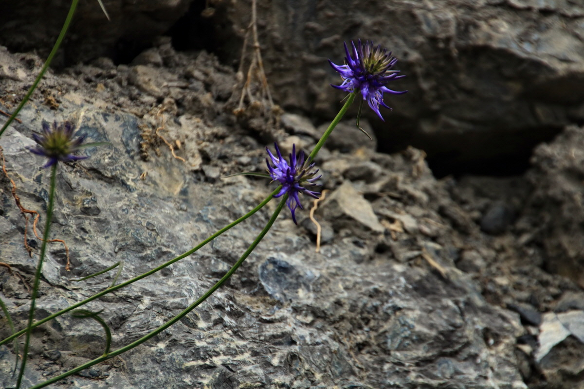 2015_06_20_005159p_Bildgr��e �ndern