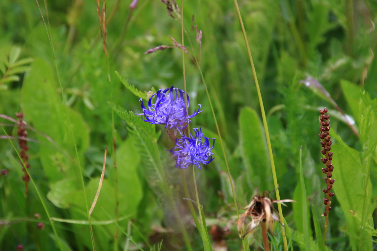 2015_06_21_005277_Bildgr��e �ndern