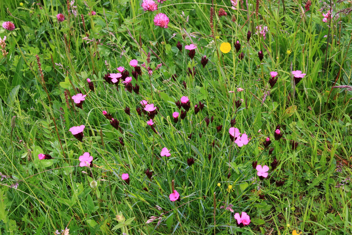 2015_06_21_005279_Bildgr��e �ndern