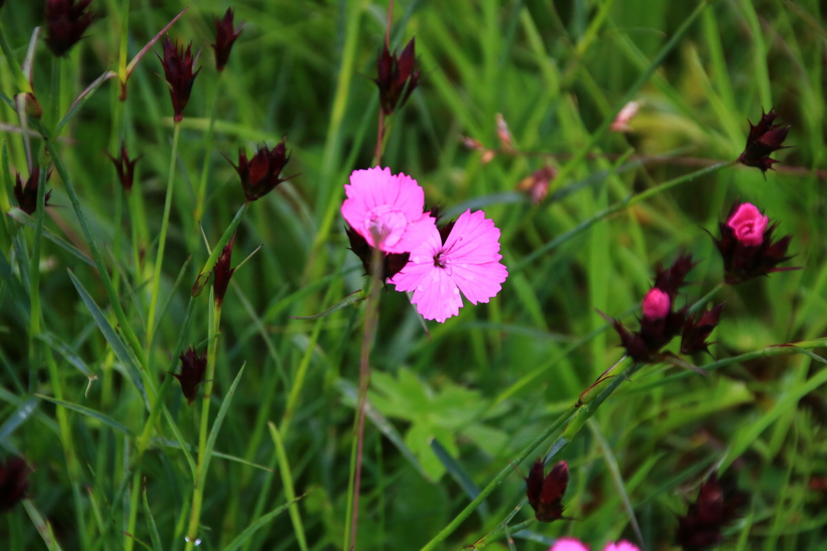 2015_06_21_005280_Bildgr��e �ndern