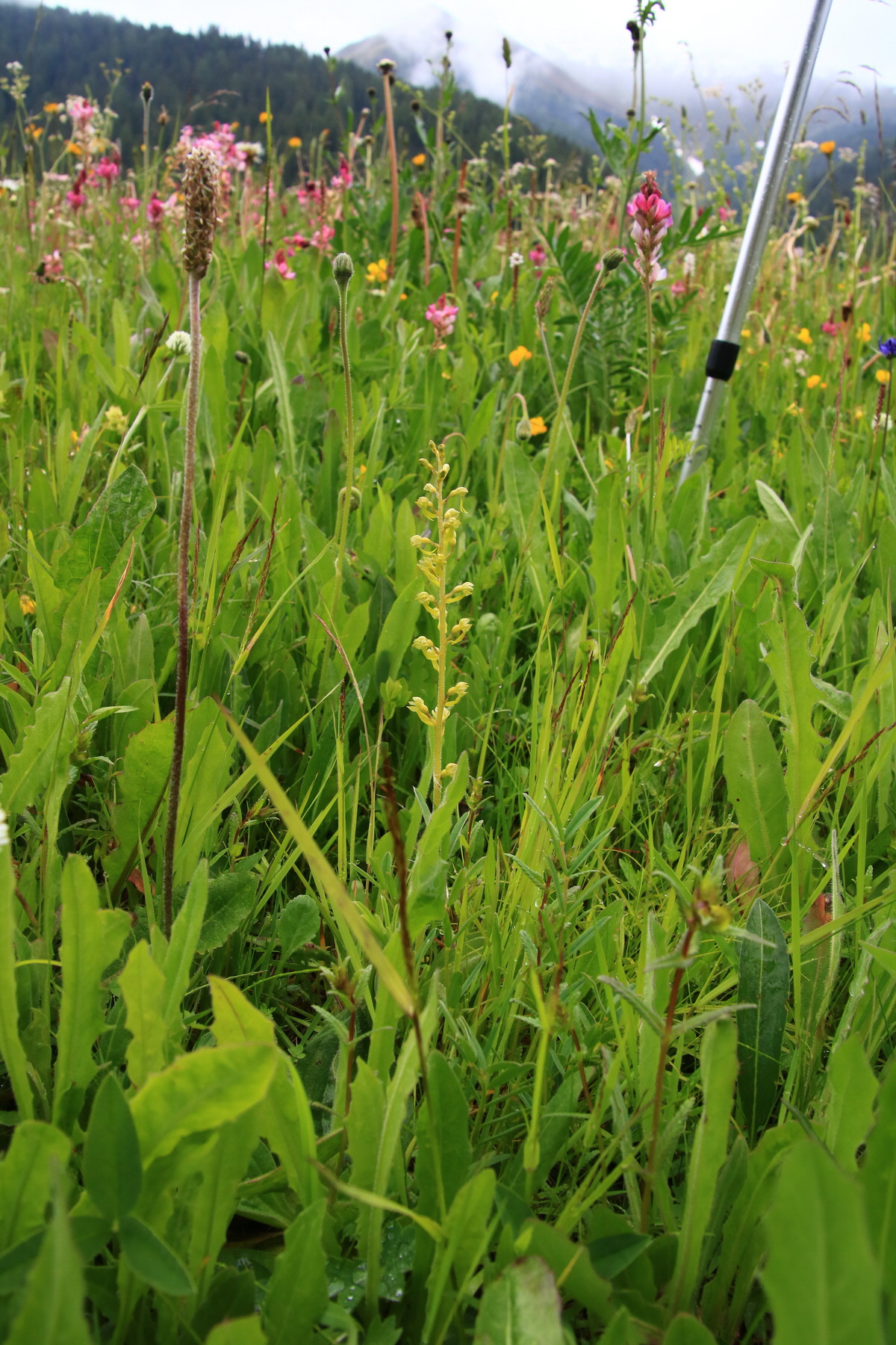 2015_06_21_005282_Bildgr��e �ndern