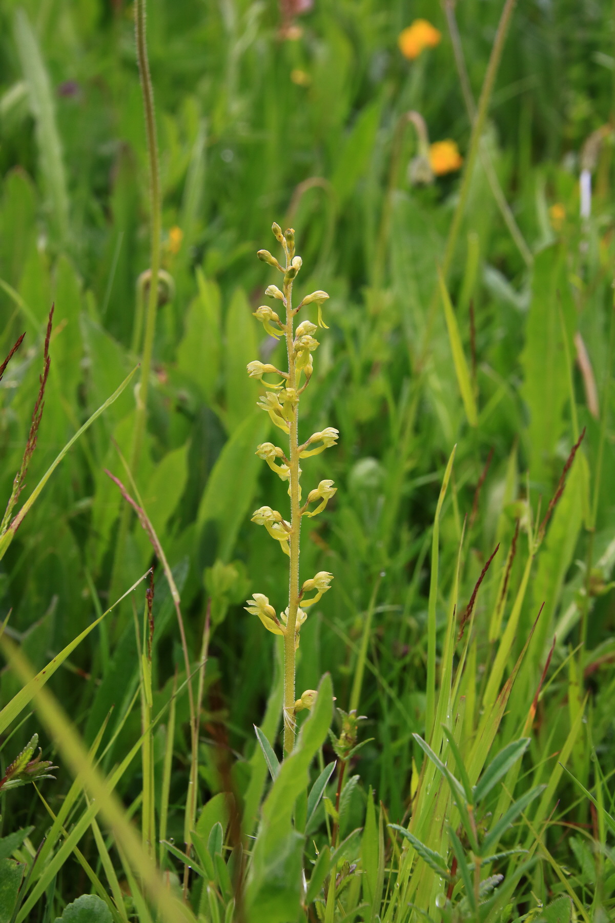 2015_06_21_005284_Bildgr��e �ndern