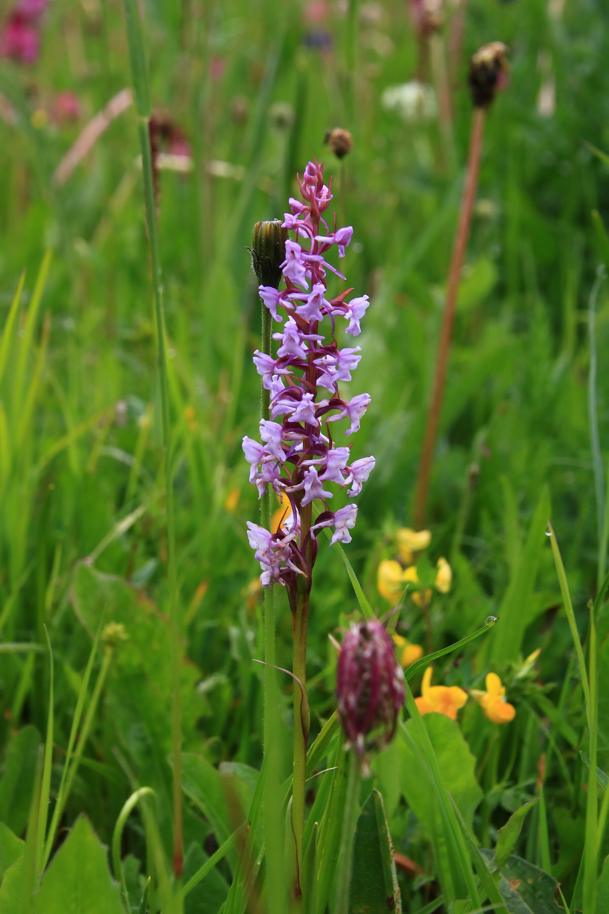 2015_06_21_005289_Bildgr��e �ndern