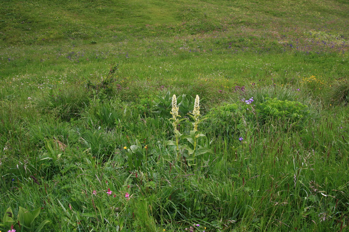 2015_06_21_005293_Bildgr��e �ndern