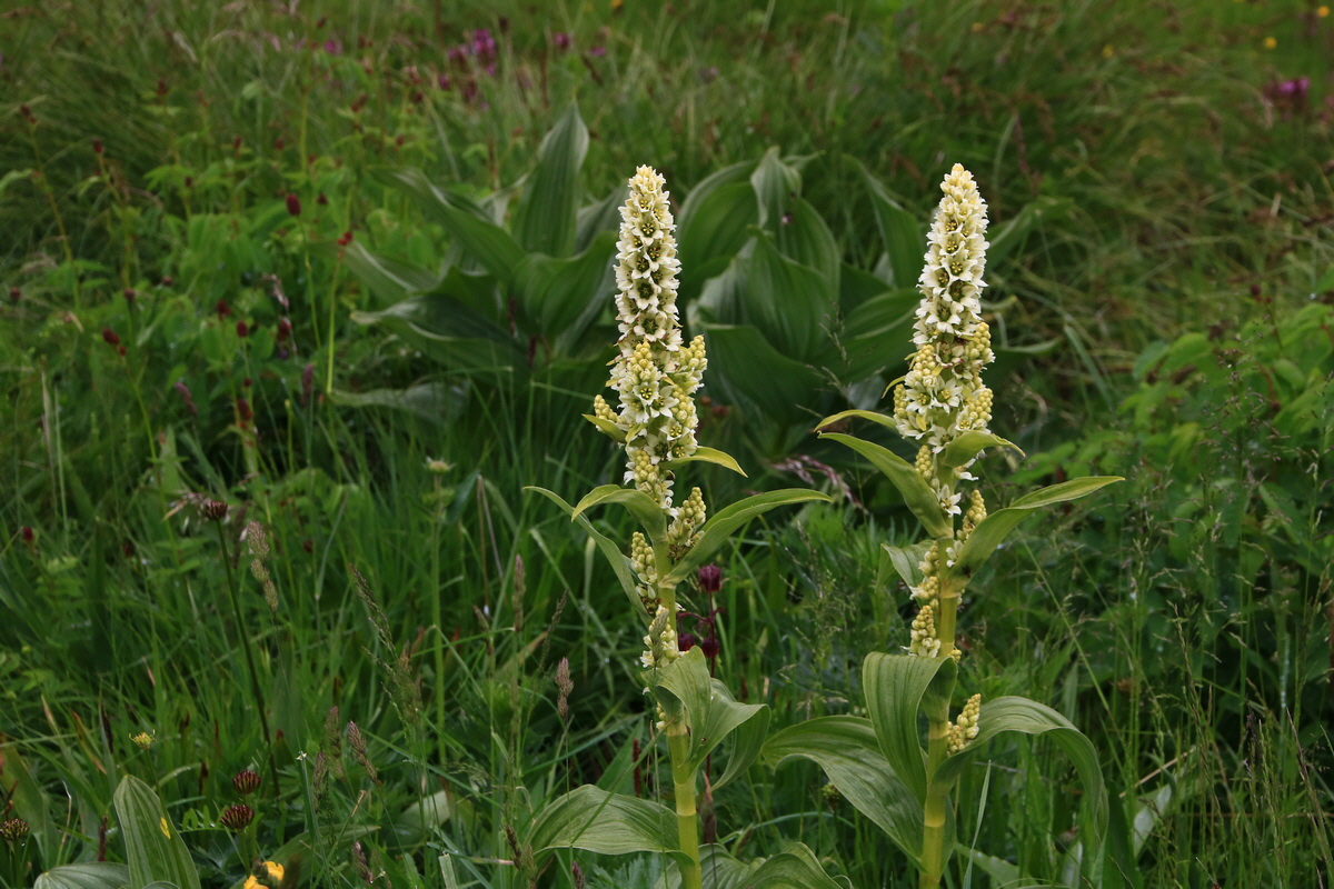 2015_06_21_005294_Bildgr��e �ndern