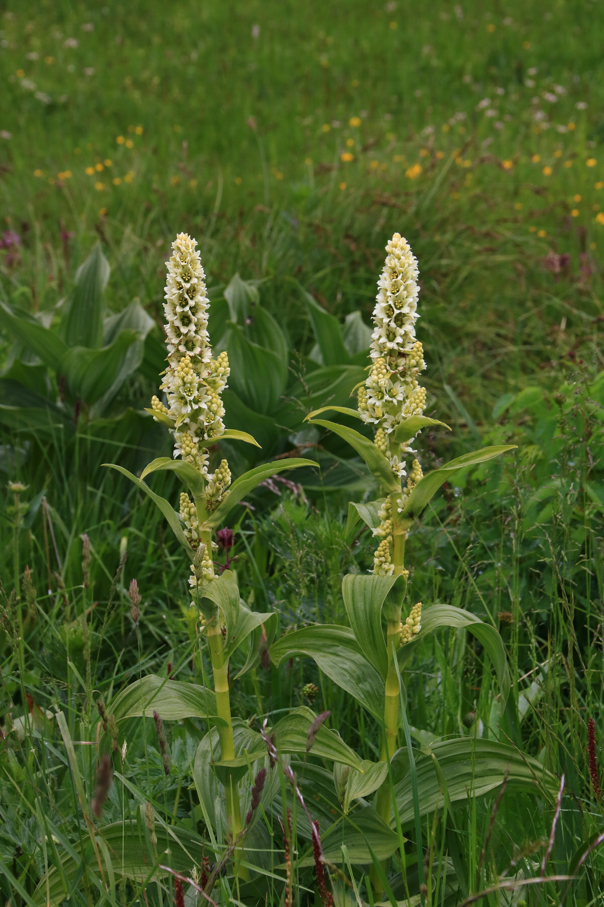 2015_06_21_005298_Bildgr��e �ndern