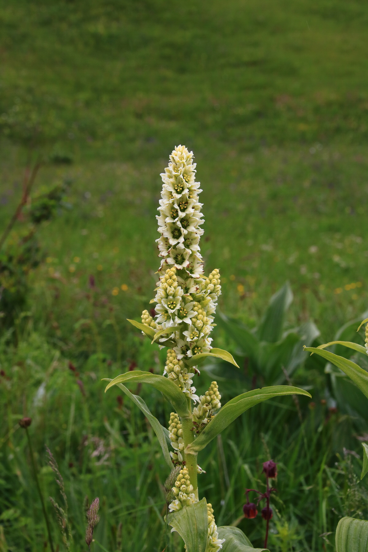 2015_06_21_005303_Bildgr��e �ndern