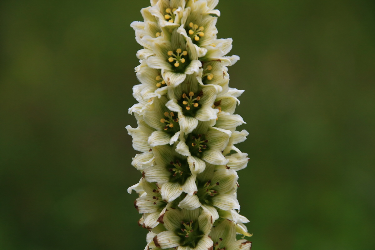 2015_06_21_005310_Bildgr��e �ndern