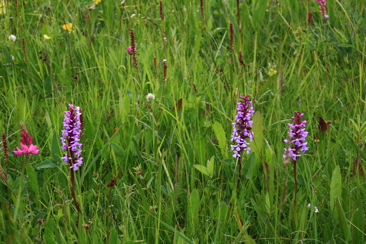 2015_06_21_005324_Bildgr��e �ndern