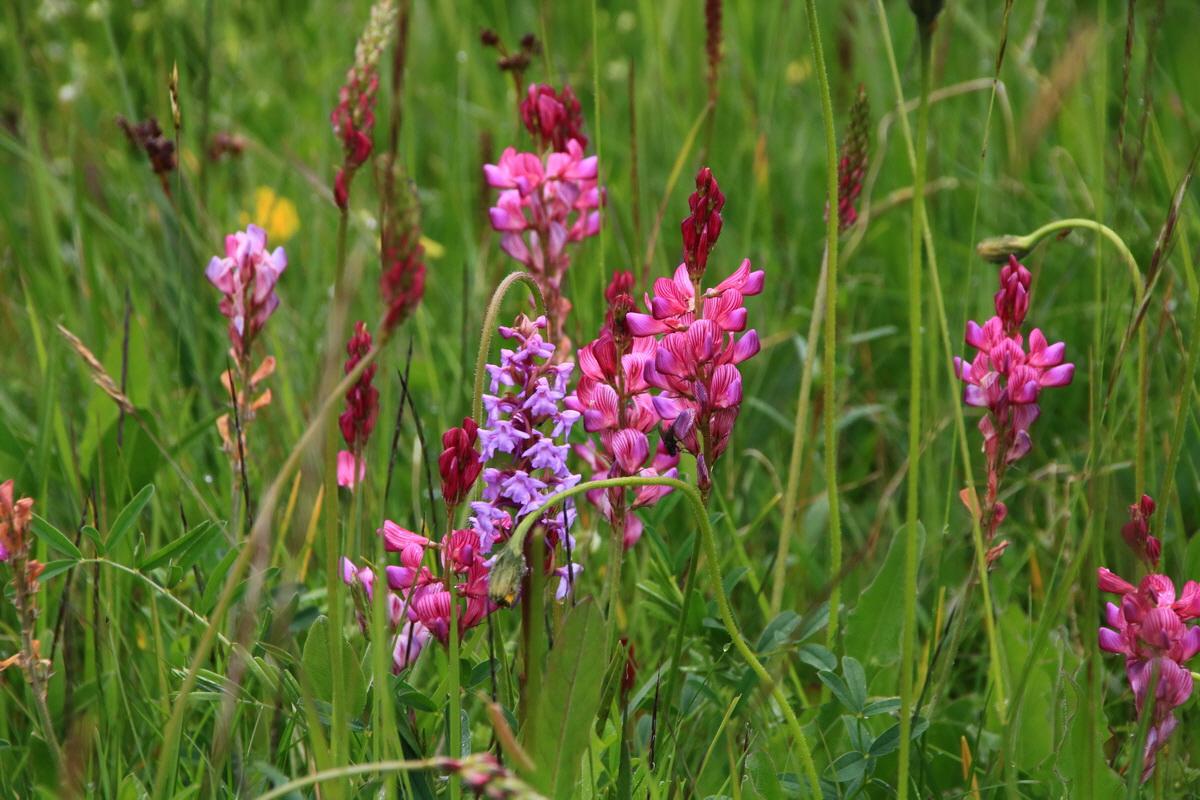 2015_06_21_005326_Bildgr��e �ndern